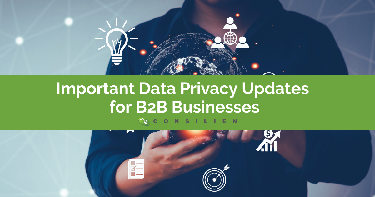Important Data Privacy Updates for B2B Businesses